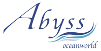 Abyss